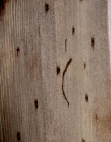 HOLZBODENSTRUKTUR MIT SPIEGEL POZZO TINOZZA